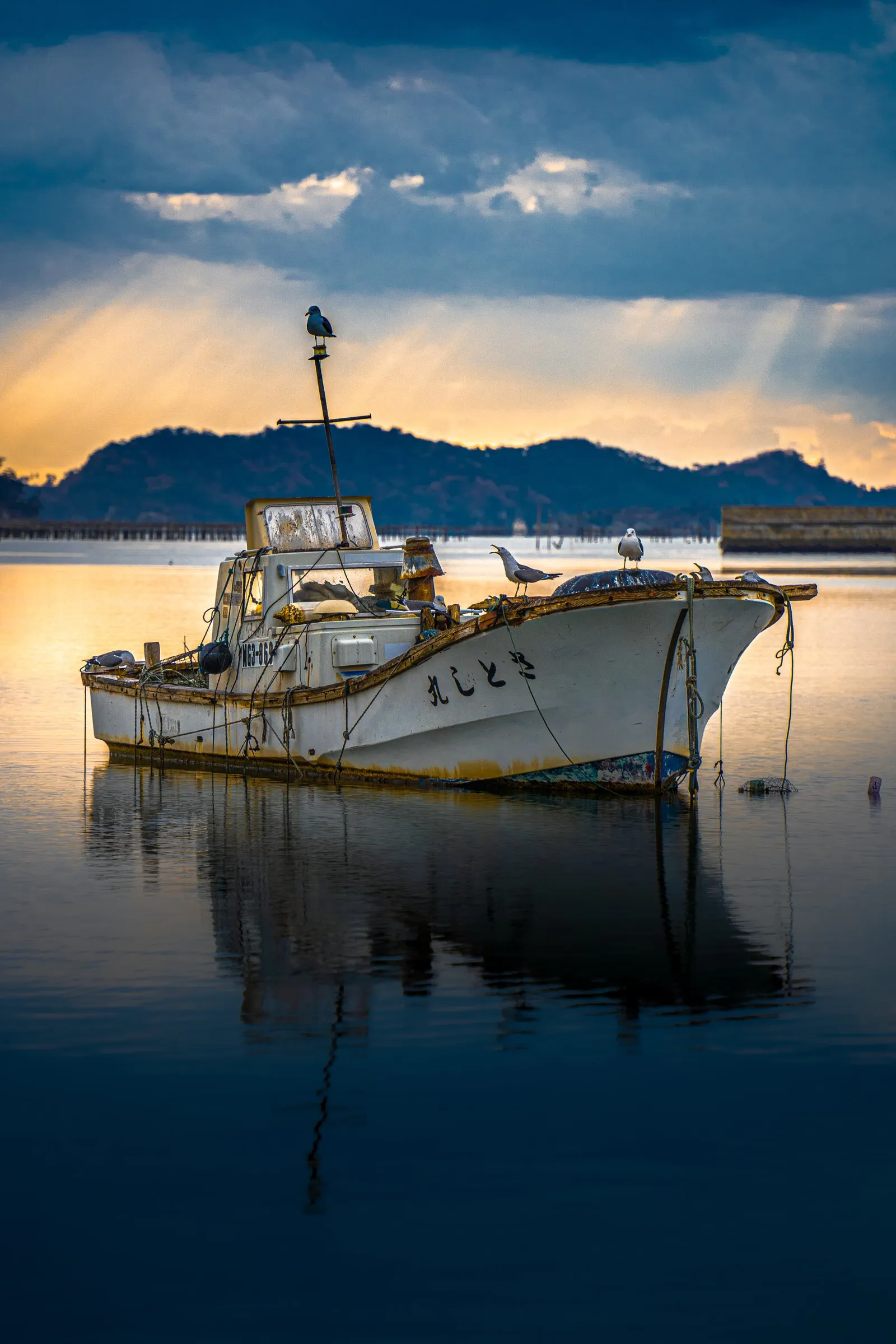 A fishing boat at anchor in dawn light, seabirds on its rigging