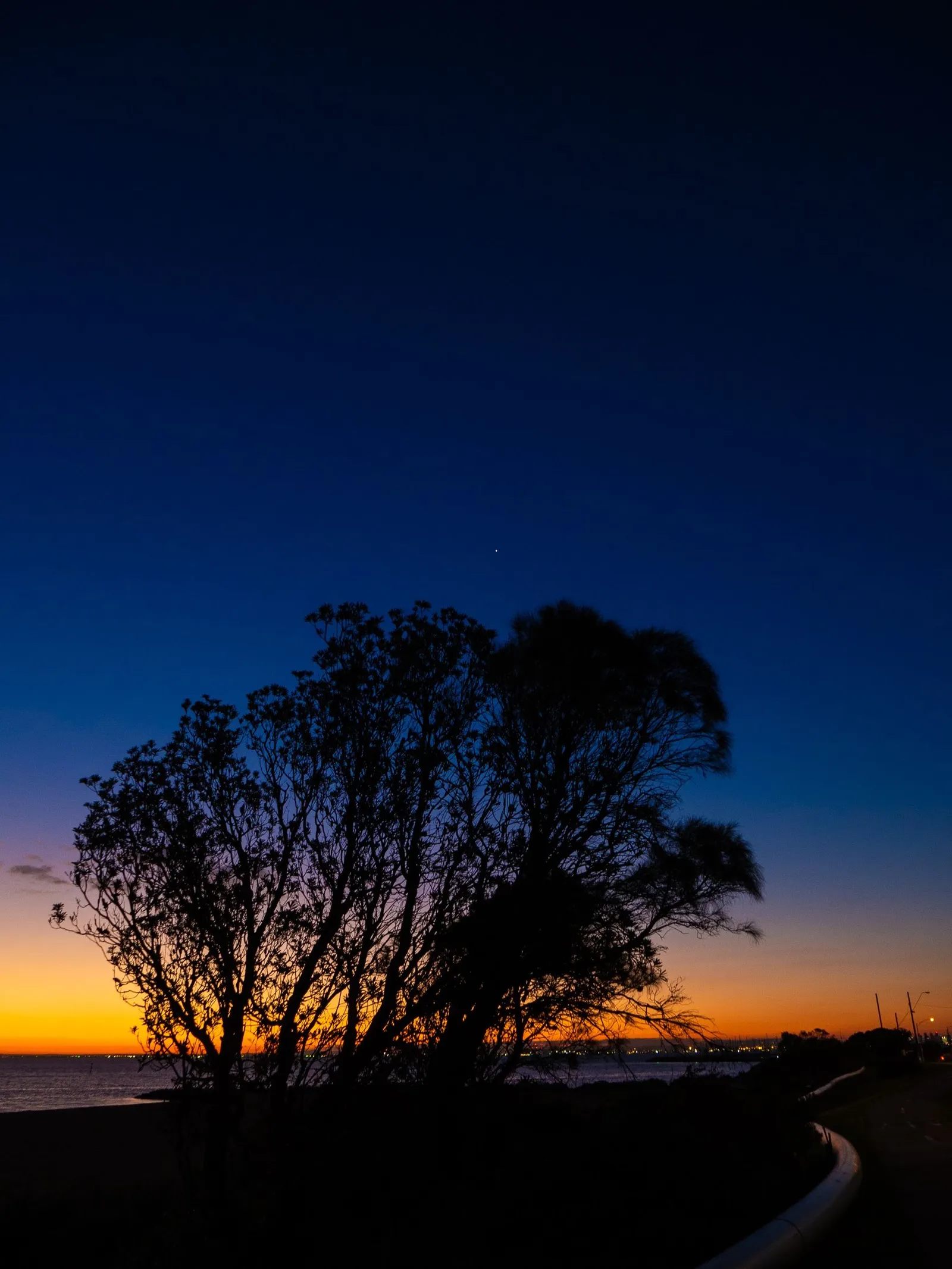 A tree silhouetted against an orange-to-blue dusk by the sea