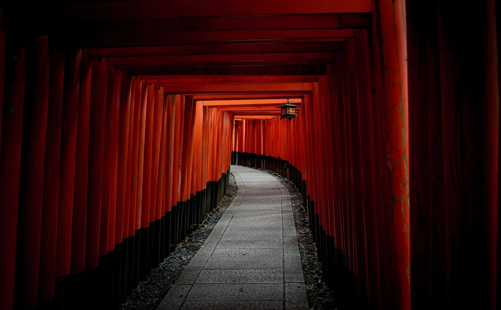 A tunnel of vermilion torii gates lit by a single lantern